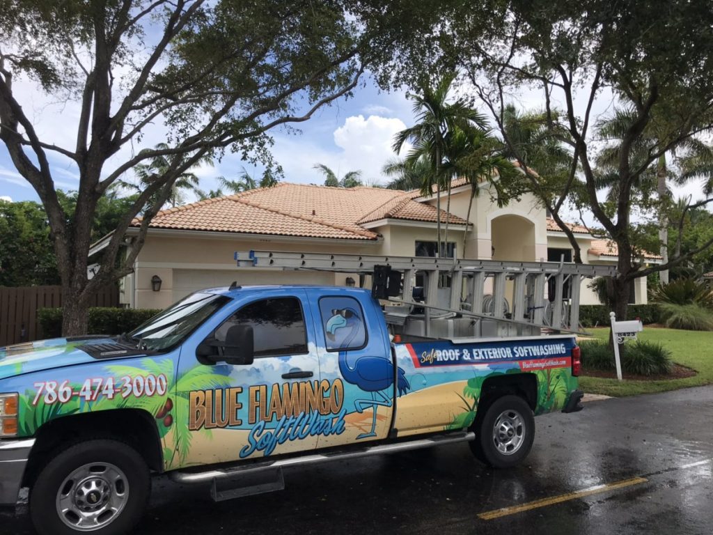 Blue Flamingo SoftWash Truck