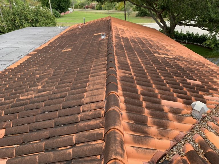 Roof Before Washing TN