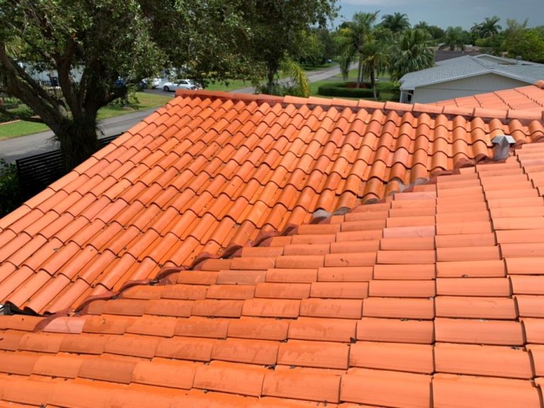 roof cleaning - miami blk 1