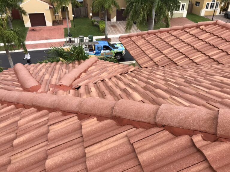 Safe Roof And Exterior Cleaning Services by Blue Flamingo SoftWash