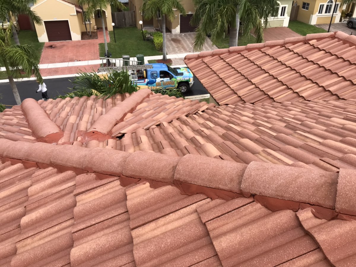 Safe Roof And Exterior Cleaning Services by Blue Flamingo SoftWash