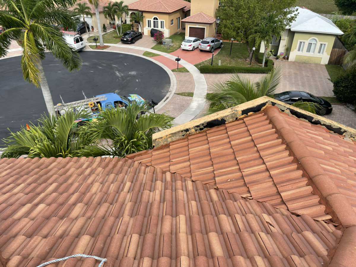 Safe Roof And Exterior Cleaning Services by Blue Flamingo SoftWash