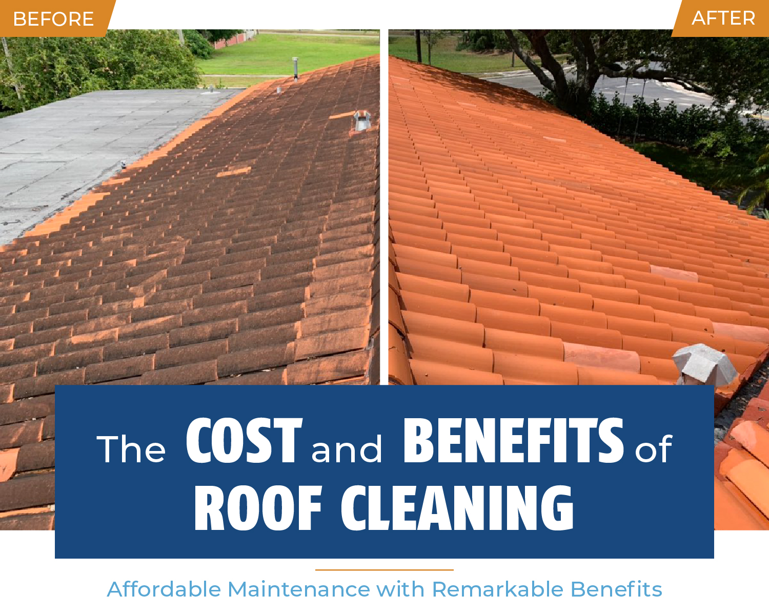 The Cost and Benefits Roof Cleaning by Blue Flamingo SoftWash