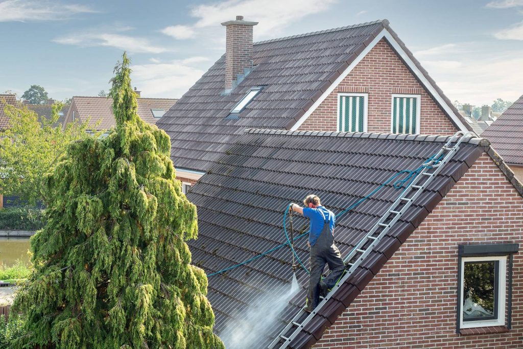 Professional Roof Washing