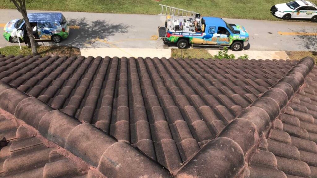 Safe Roof And Exterior Cleaning Services by Blue Flamingo SoftWash