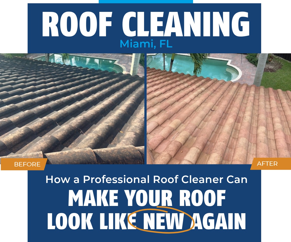 Roof Cleaning Near Me – Miami, FL: How a Professional Roof Cleaner Can Make Your Roof Look New Again