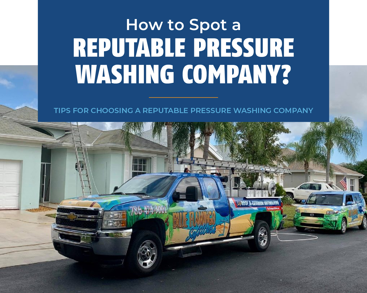 How to Spot a Reputable Pressure Washing Company? Brought to you by Blue Flamingo SoftWash