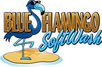Blue Flamingo SoftWash
