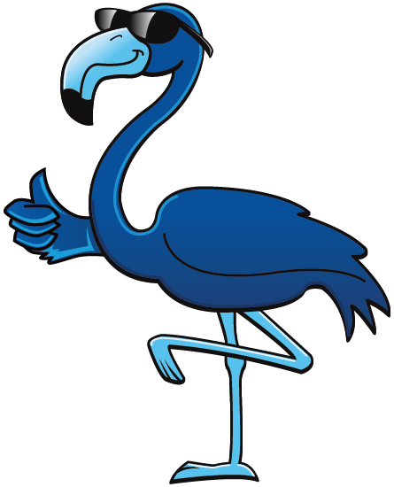 Blue Flamingo SoftWash