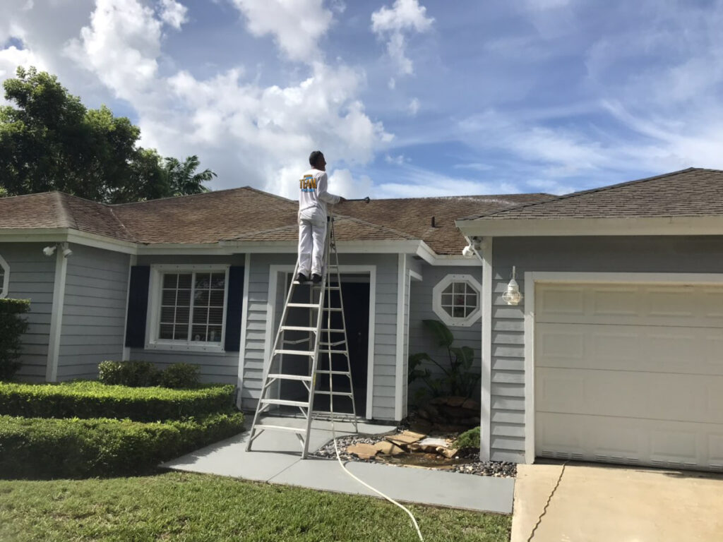 Safe Roof And Exterior Cleaning Services by Blue Flamingo SoftWash