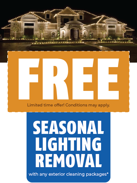 FREE Seasonal Lighting Removal