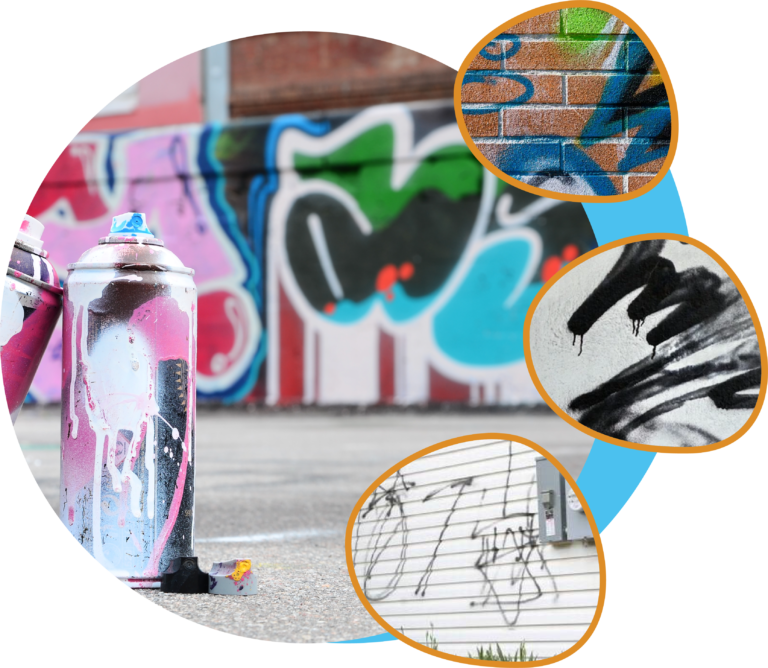 Graffiti Removal Services by Blue Flamingo SoftWash