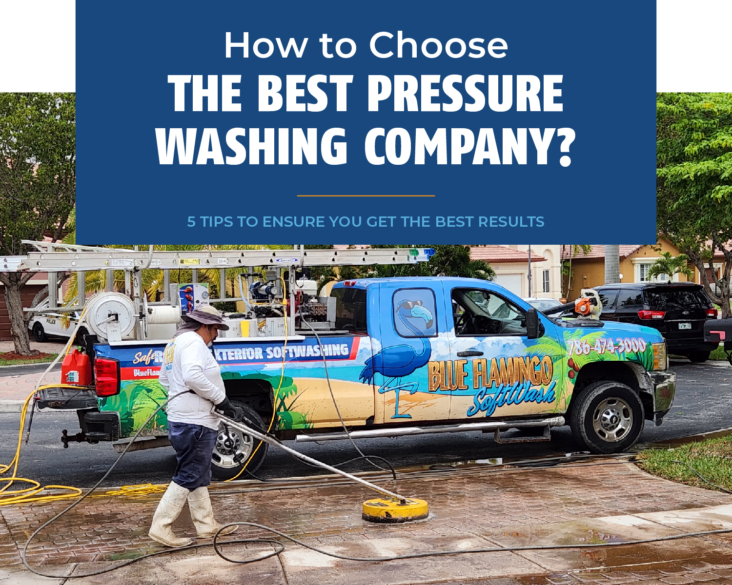 How to Choose the Best Power Washing Company? Brought to you by Blue Flamingo SoftWash