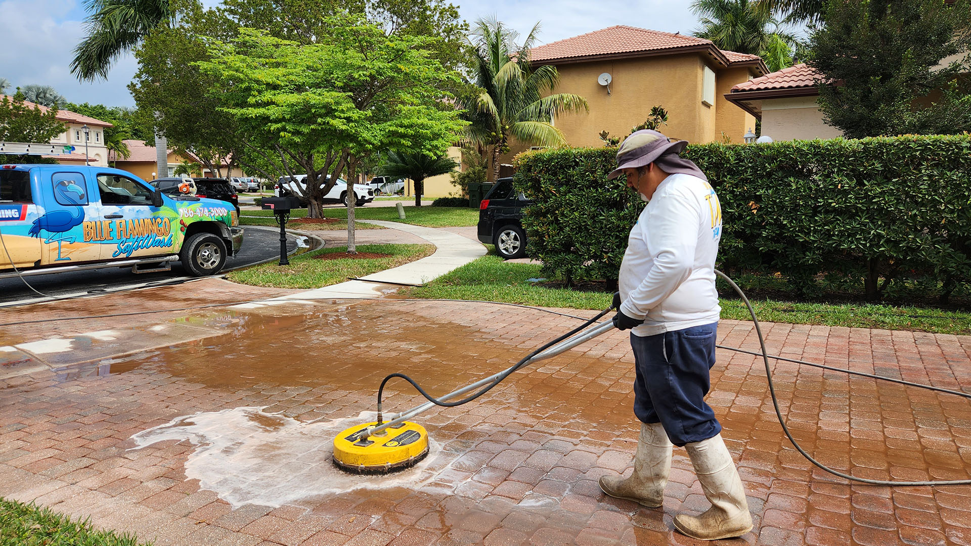 Best Pressure Washing Company in the Miami, Florida area. Blue Flamingo SoftWash