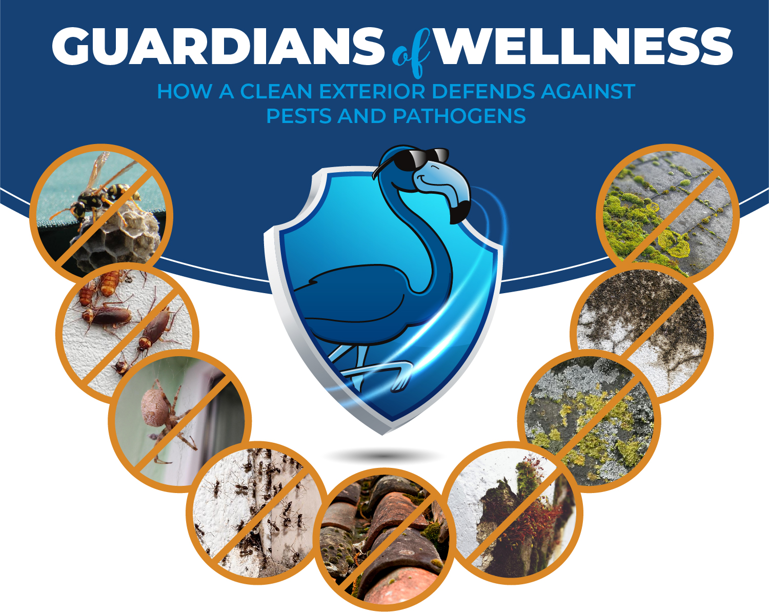 Guardians of Wellness: How a Clean Exterior Defends Against Pests and Pathogens