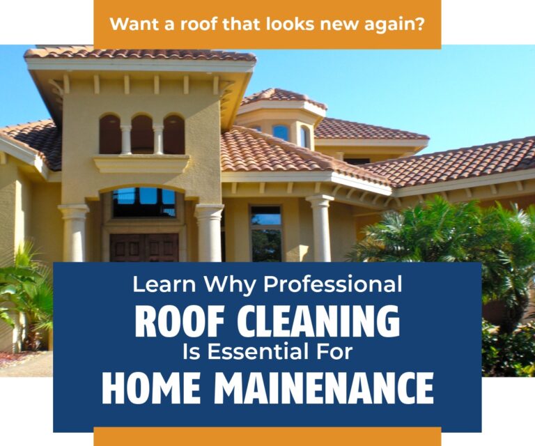 Why Professional Roof Cleaning is Essential for Home Maintenance